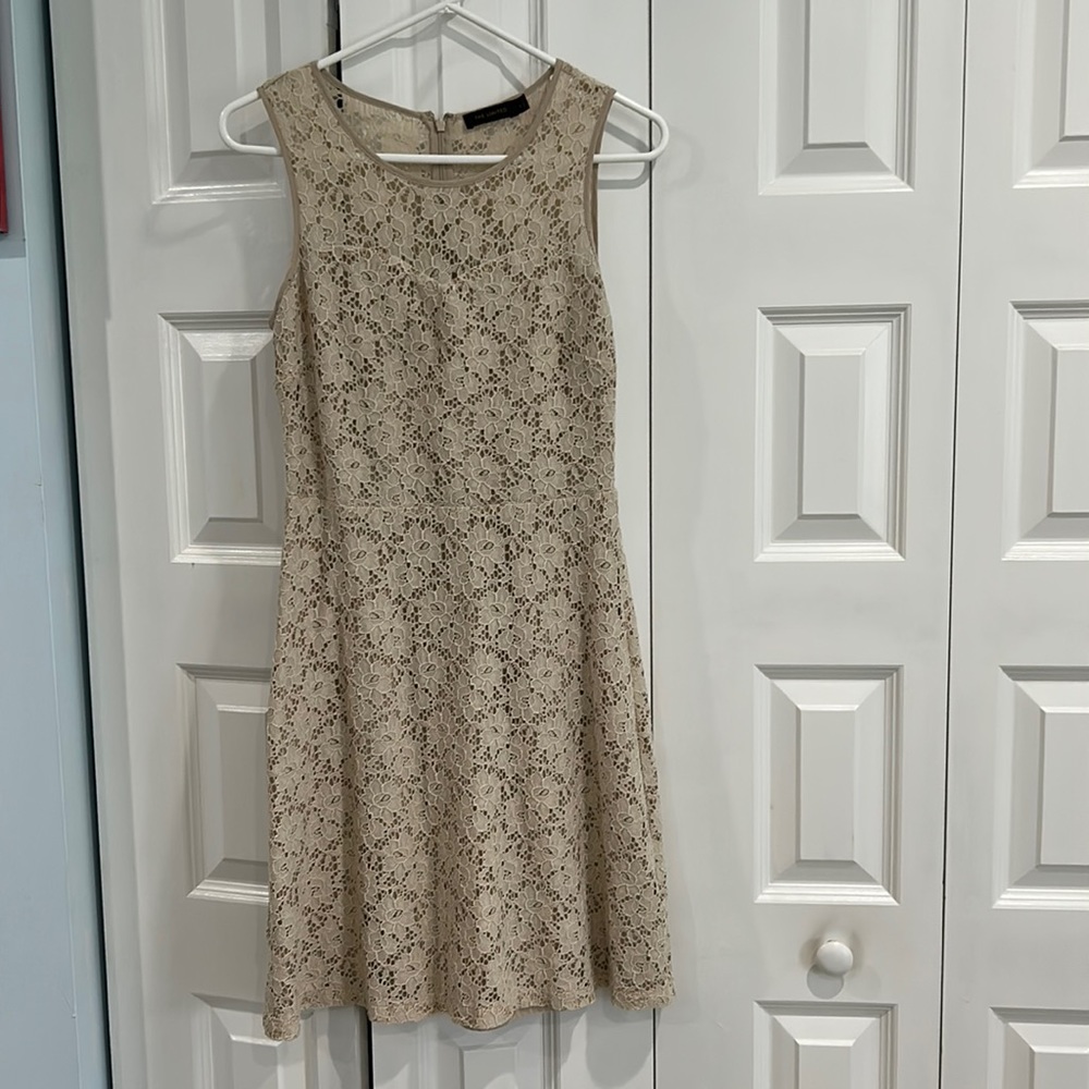The Limited Dress